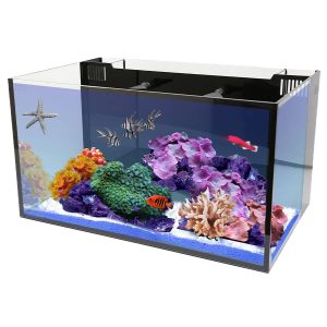 20-inch NUVO Fusion All-in-One Aquarium