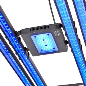 48-Inch X Sequence Quad Strip LED Hybrid Set