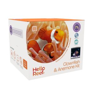 Clownfish and Anemone Fish Tank Set