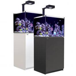 Reefer Deluxe 170 G2+ Aquarium System (34 Gallons)